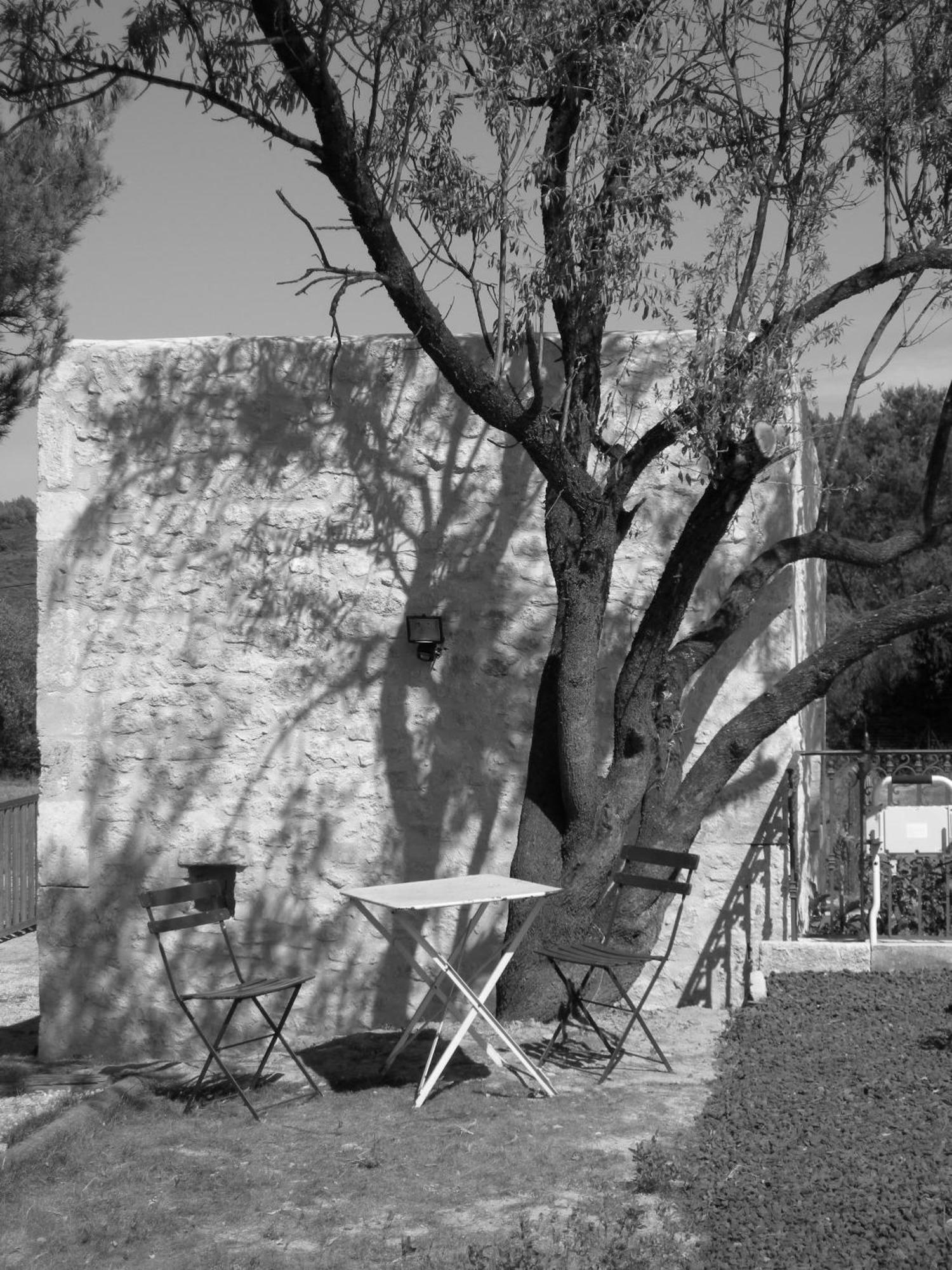 Bed and Breakfast Le Mazet De La Dame Barbentane Exterior foto